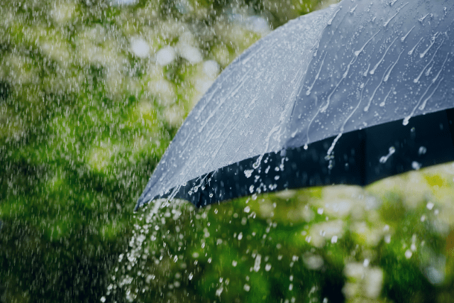 Rainy Day and Umbrella